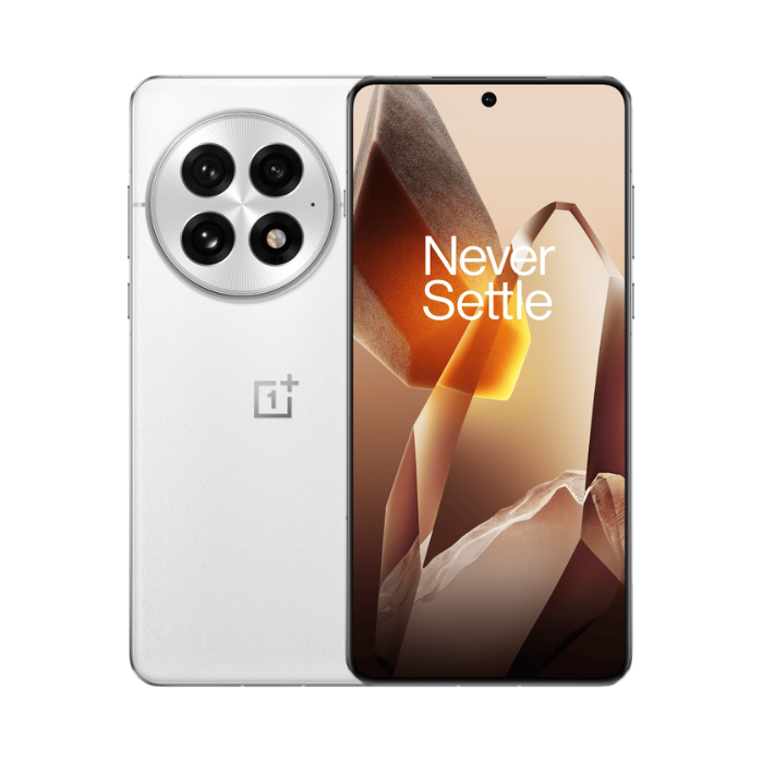 1 Buy Oneplus 13 5G 256GB/12GB RAM Arctic Dawn Online in Australia.